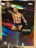 Randy Orton 2025 #244 WWE Topps Universe 2025