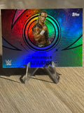 Shawn Michaels 2025 #187 WWE Topps Universe 2025