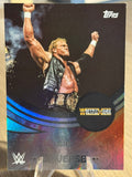 Sycho Sid 2025 #248 WWE Topps Universe 2025