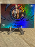 Diamond Dallas Page 2025 #173 WWE Topps Universe 2025