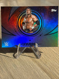 Triple H 2025 #195 WWE Topps Universe 2025
