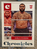 Gable Steveson 2022 “Rookie” #29 WWE Chronicles 2022