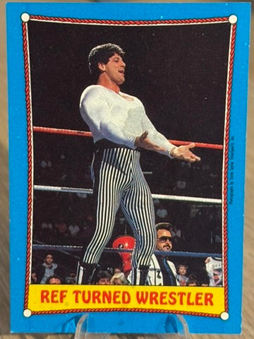 Danny Davis 1987 "Rookie Card" #23 WWF Topps 1987