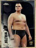 Walter (Gunther) 2020 WWE Topps Chrome 2020 #100