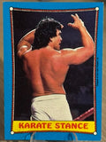 Ricky Steamboat 1987 #43 WWF Topps 1987