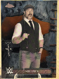 Sheamus 2025 #98 WWE Cactus Jack 2025