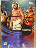 Big John Studd 2025 #221 WWE Topps Universe 2025