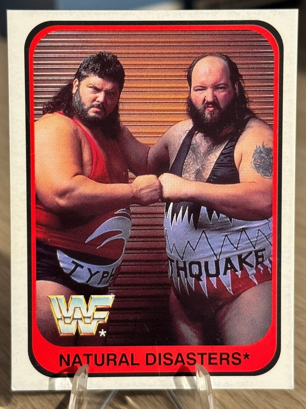 Natural Disasters 1991 WWF Merlin #78