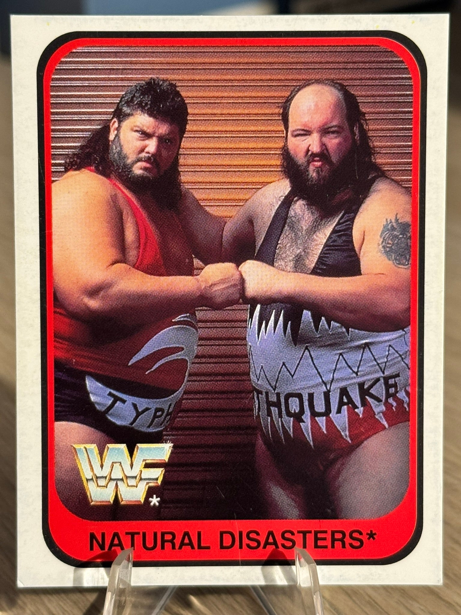 Natural Disasters 1991 WWF Merlin #78
