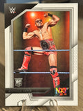 Carmelo Hayes #55 "Rookie Card" Panini WWE NXT 2022