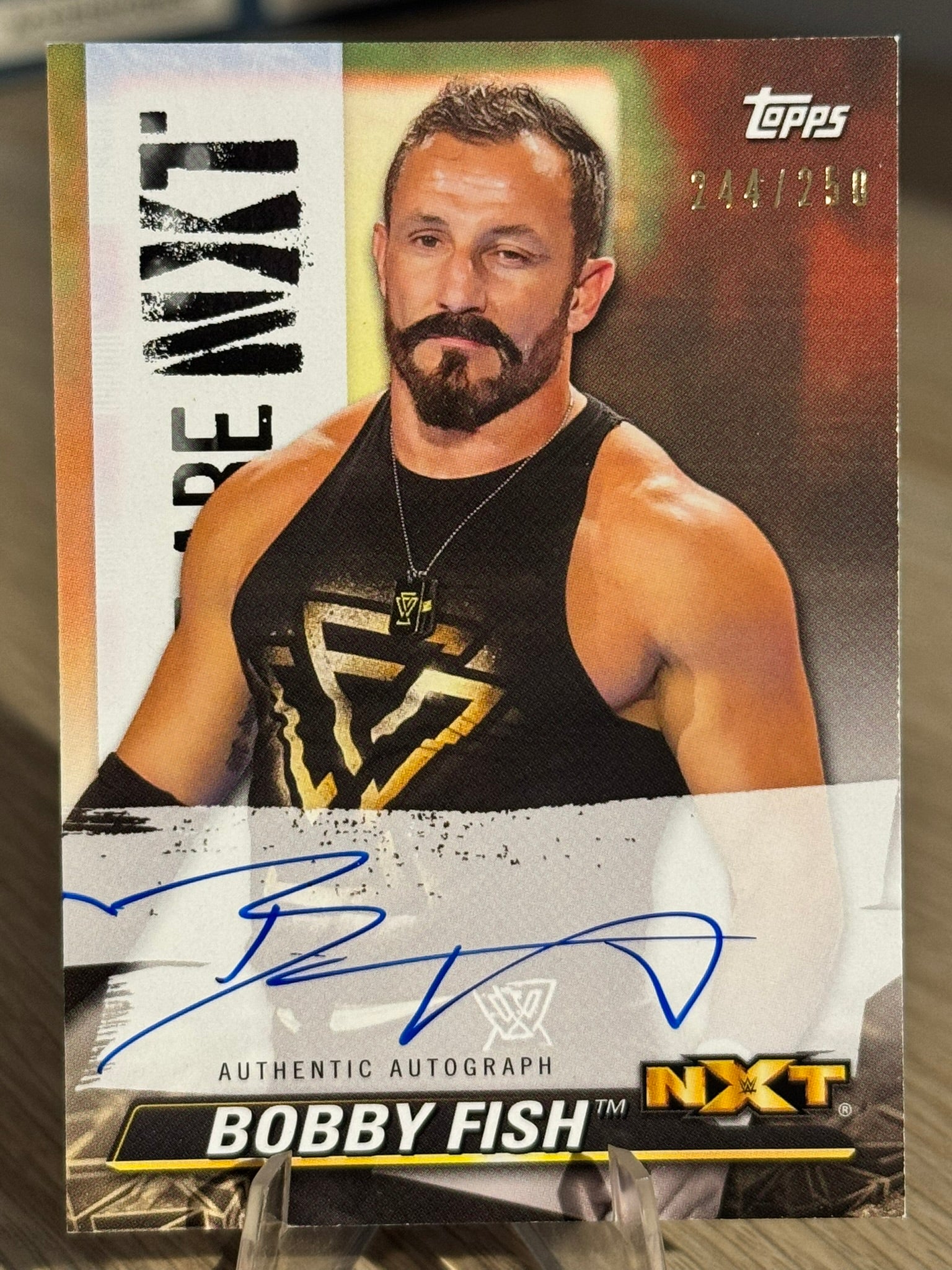 Bobby Fish 2021 On Card Autograph /299 We Are NXT 2021 #A-BF
