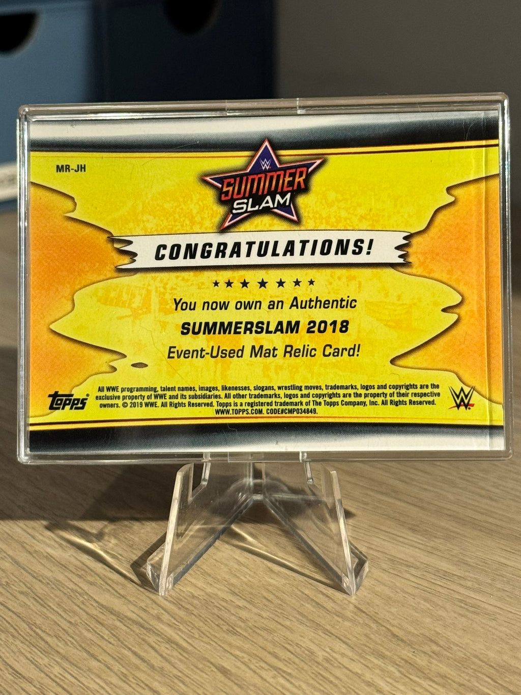 Jeff Hardy "Summerslam 2018 Mat Relic" WWE Topps Summerslam 2019 #MR-JH