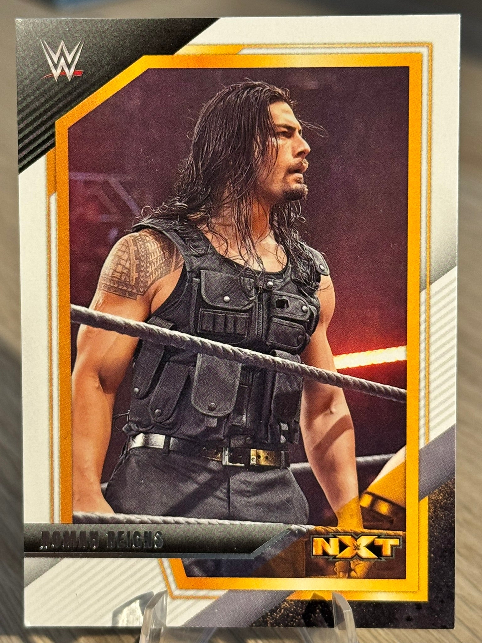 Roman Reigns NXT Alumni WWE NXT 2022 #124