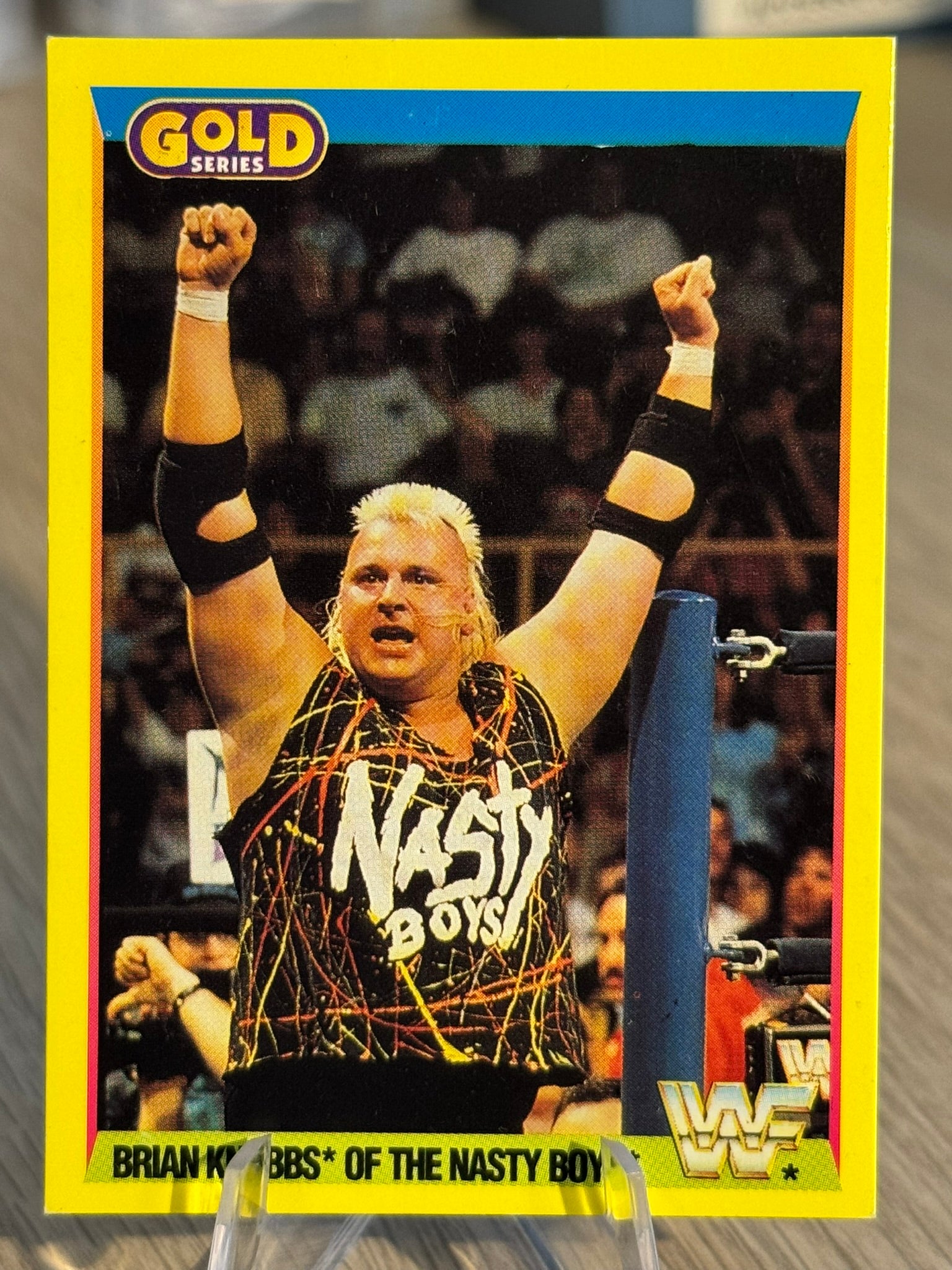Brian Knobbs of The Nasty Boys WWE 1992 Gold Series 2 #69
