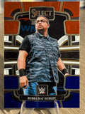 Bubba Ray Dudley 2024 Red / Blue WWE Select 2024 #79