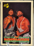The Bushwhackers Damaged 1990 WWF Classic Games #15