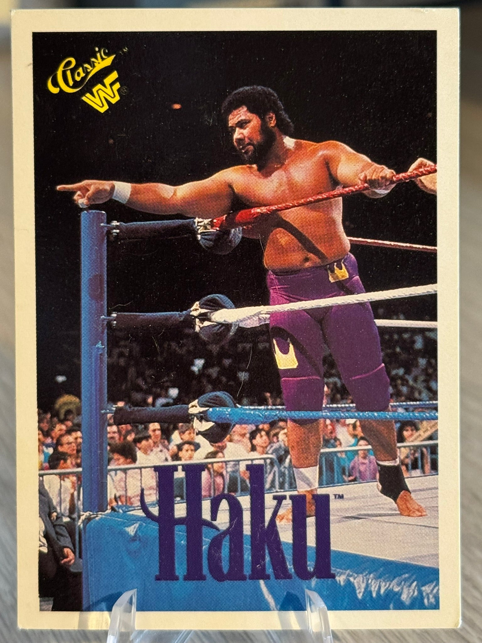 Haku 1990 WWF Classic Games #35