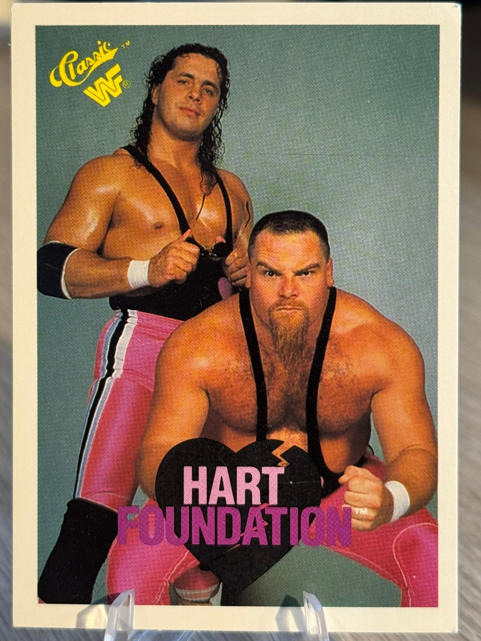 Hart Foundation 1990 WWF Classic Games #38