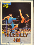 Hillbilly Jim Damaged 1990 WWF Classic Games #40