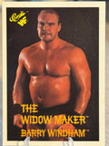 The Widow Maker Barry Windham 1990 WWF Classic Games #42