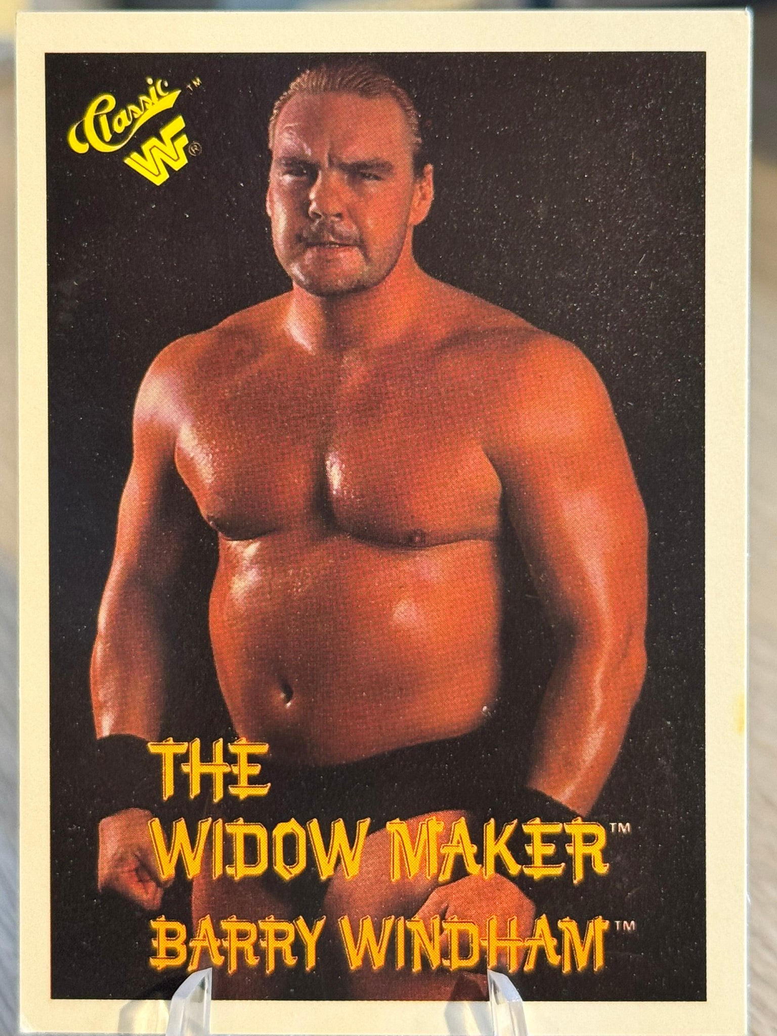 The Widow Maker Barry Windham 1990 WWF Classic Games #42