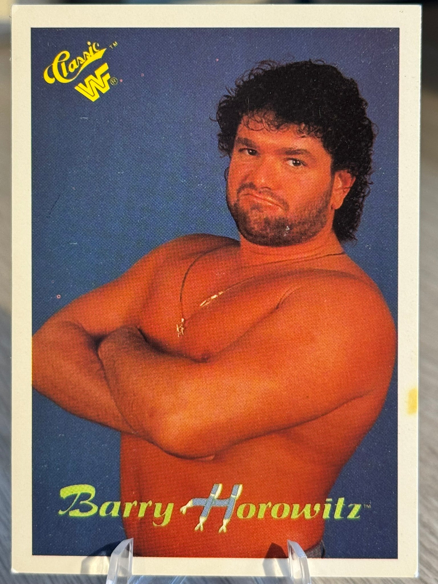 Barry Horowitz 1990 WWF Classic Games #49