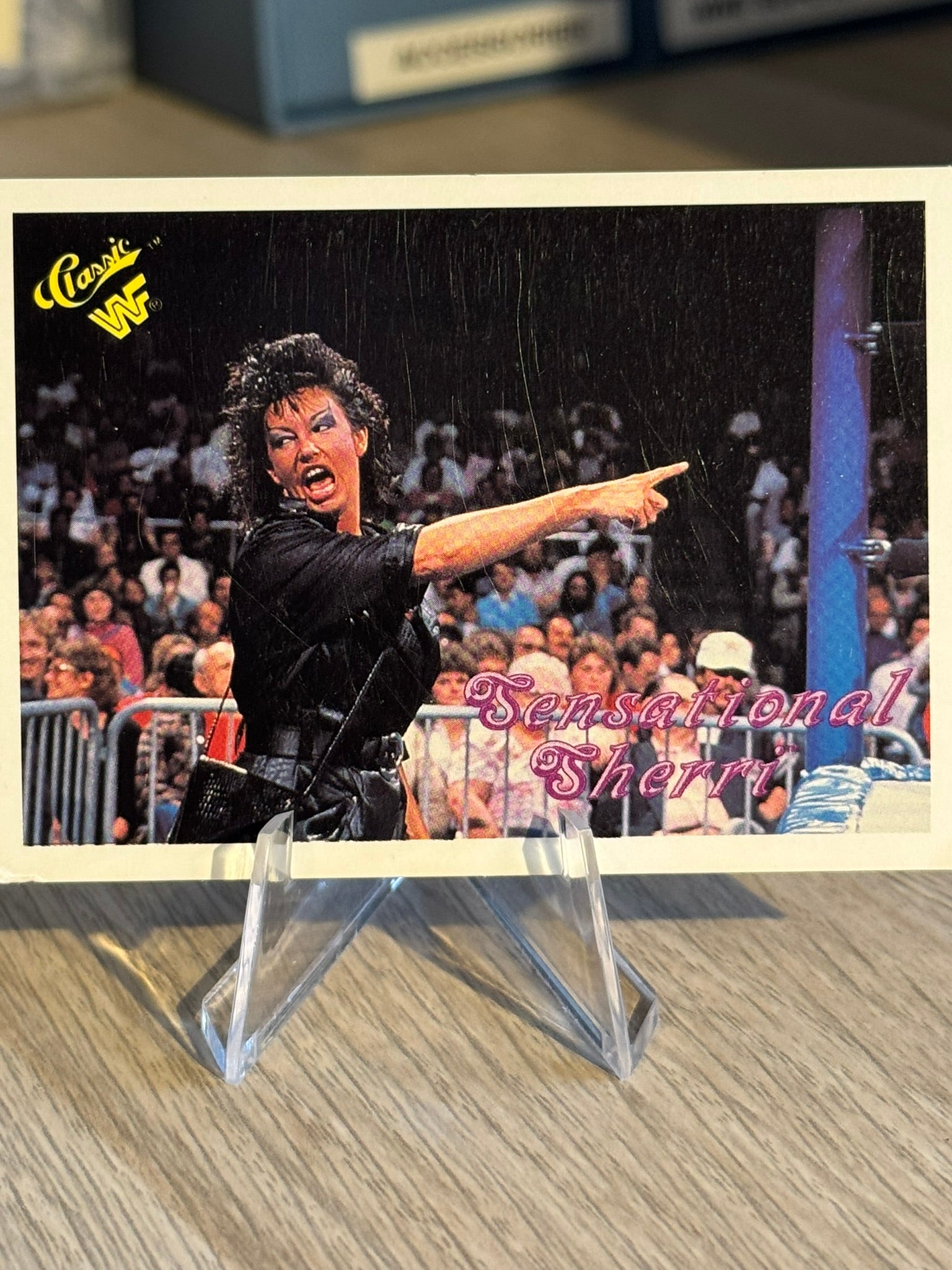 Sensational Sherri Damaged 1990 WWF Classic Games #73