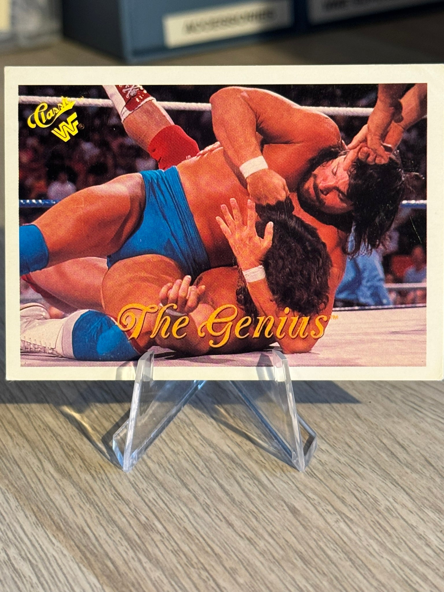 The Genius 1990 WWF Classic Games #85