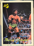 Barry Horowitz 1990 WWF Classic Games #99