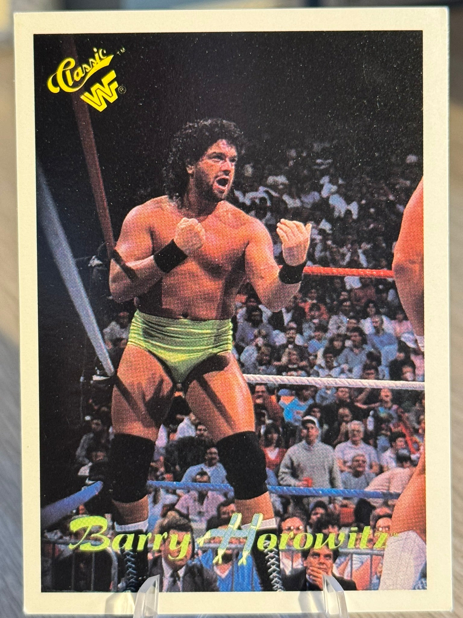 Barry Horowitz 1990 WWF Classic Games #99