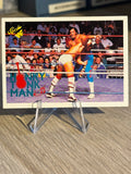 Honky Tonk Man 1990 WWF Classic Games #117