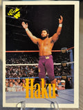 Haku 1990 WWF Classic Games #120