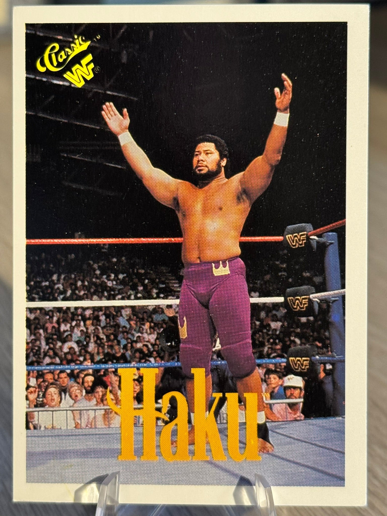 Haku 1990 WWF Classic Games #120