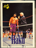 Haku 1990 WWF Classic Games #135